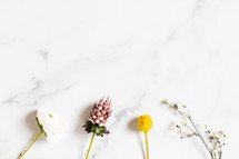 flowers against a marble countertop 