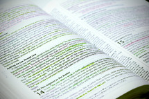 Highlighted pages in a Bible 