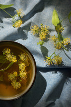 Cup with linden tea and flowers and natural light