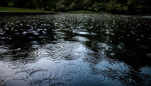 rain drops hitting a lake 