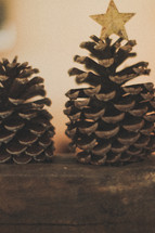 Christmas pinecones 