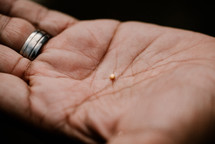 tiny mustard seed in the palm of the hand 