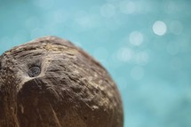 a coconut by the edge of a sparkling pool 