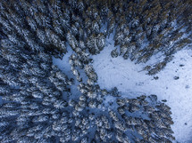 aerial view over a winter mountain forest 