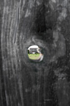 view of a house through a hole in a fence