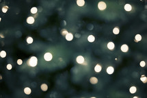 bokeh white lights on a Christmas tree 