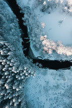 Snow covered trees with a frozen river seen from above.