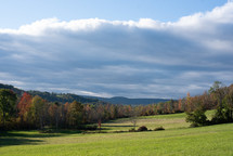 Field lined with trees in the fall
