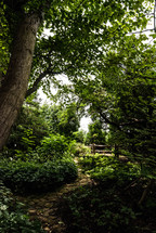 stone path through a garden