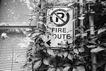 No Parking Fire route sign