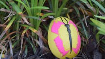 A butterfly Easter egg in green grass hidden for an Egg Hunt 
