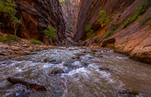river in red rock canyons 