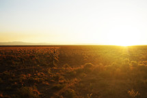 warm sunlight over a country field 