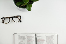reading glasses, open Bible, and house plant on a white desk 