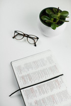 open Bible, house plant, reading glasses on a desk 