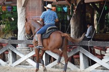 A vaquero mounted on his horse 