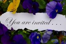 You are invited . . . 