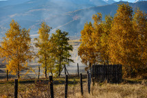 fall trees and distant mountain 