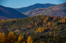 fall valley landscape 