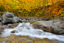 Autumn waterfall and creek woods with yellow trees foliage and rocks in forest mountain