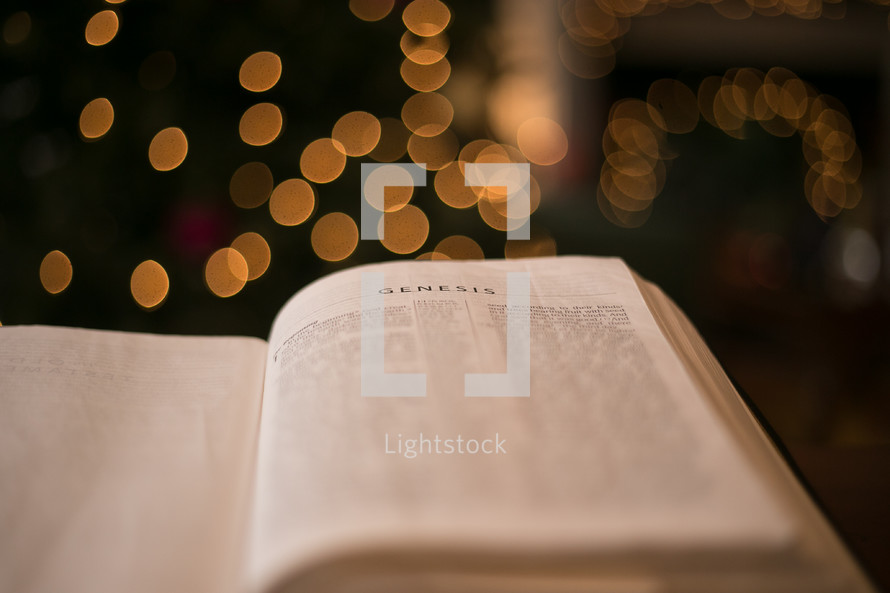 bokeh light from a Christmas tree and an open Bible 