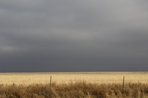 gray clouds over a golden field 