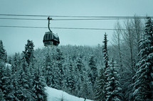 ski lift over pine forest 