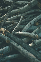 pile of logs and sticks 