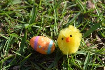Easter egg an fuzzy chick in grass 