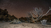 stars in the night sky over a desert mountain landscape 