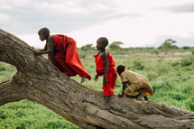 village children climbing a tree in Africa
