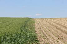 plowed field 