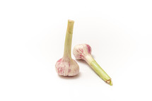 Two garlic with a stem on a white isolated background with copy space