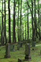 Old headstones in a cemetery surrounded by tall trees.