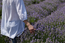 woman in a field of lavender  