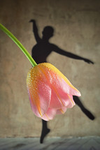 Abstract Shadow Ballerina Dancing Wearing Skirt from Tulip Flower