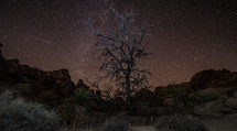 desert landscape at night 
