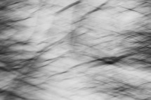 abstract black and white branches 