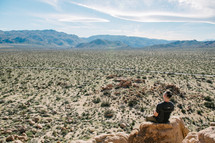 a man looking out at a desert 