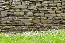 white daises at the bottom of a stone wall 