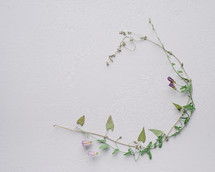 dried ivy and flowers 