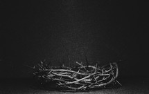 Crown of thorns — Design element — Lightstock