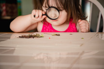 A little girl looking through a magnifying glass at leaves on a table.