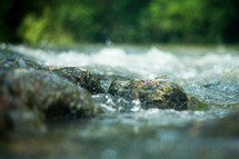 wet rocks in a creek