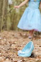 Cinderella's slipper 