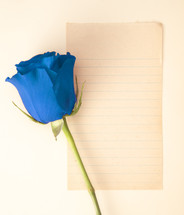 blue rose and blank paper 