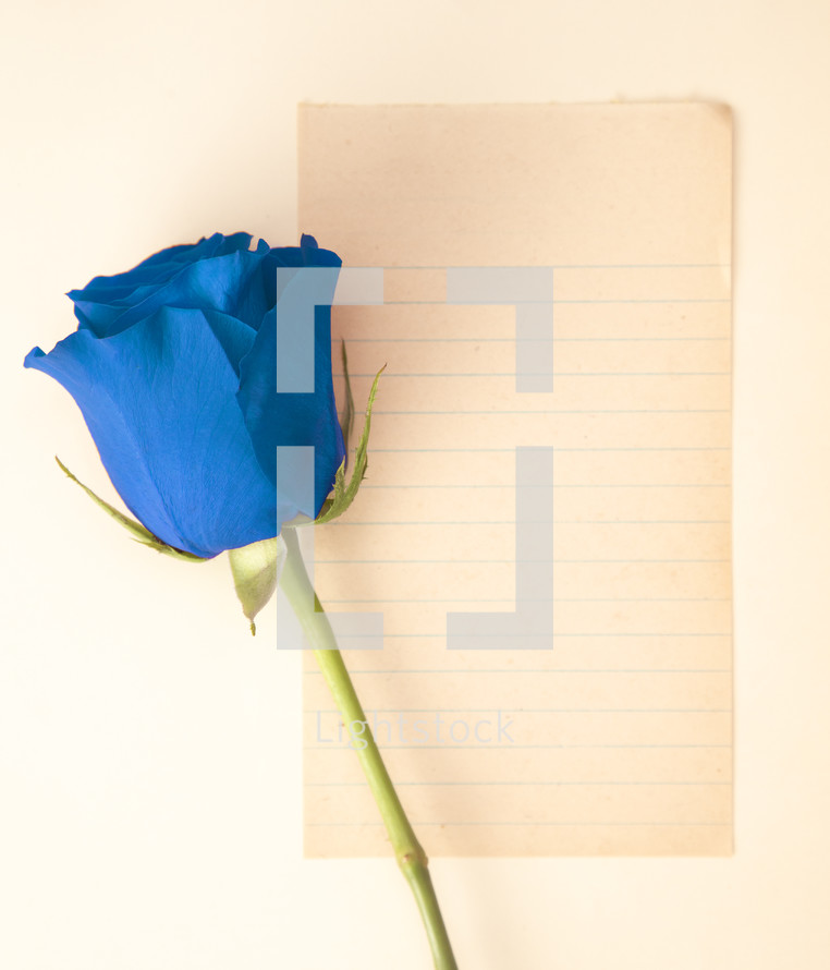 blue rose and blank paper 