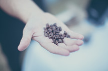 Extended hand holding coffee beans in palm.