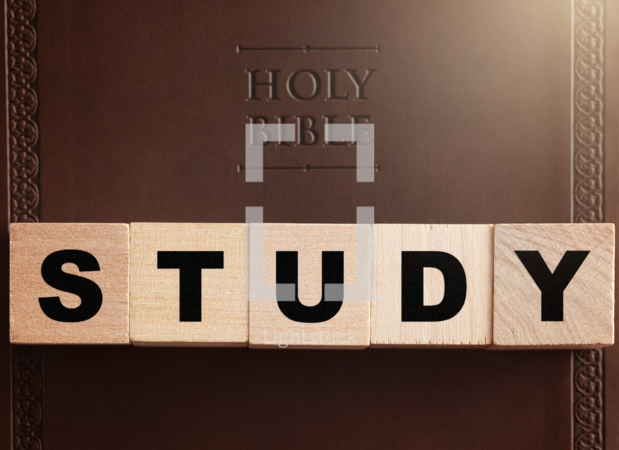 Holy Bible and word study 