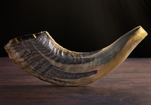 horn on a wood background 